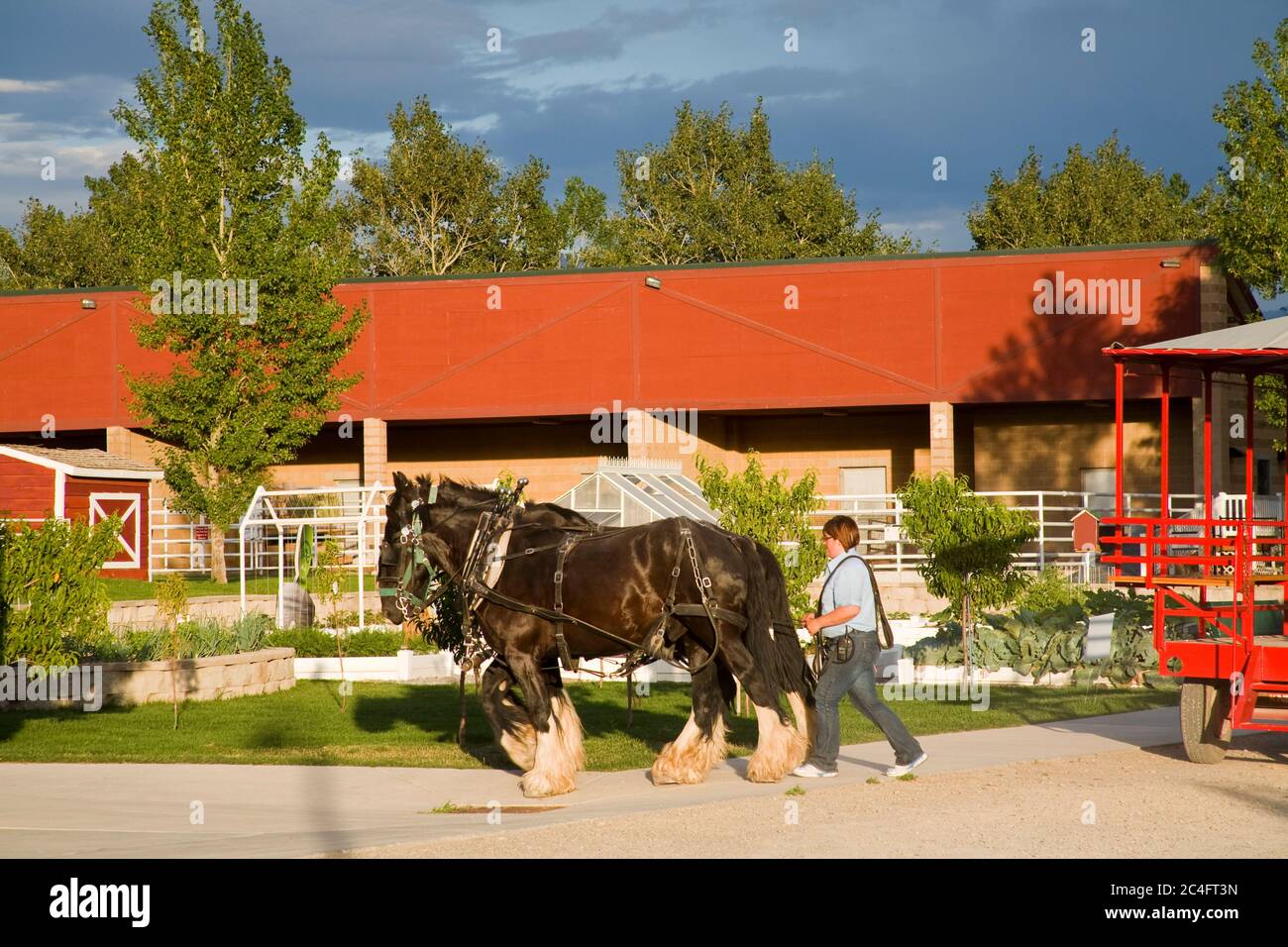 farm-country-at-thanksgiving-point-lehi-city-utah-usa-north-america