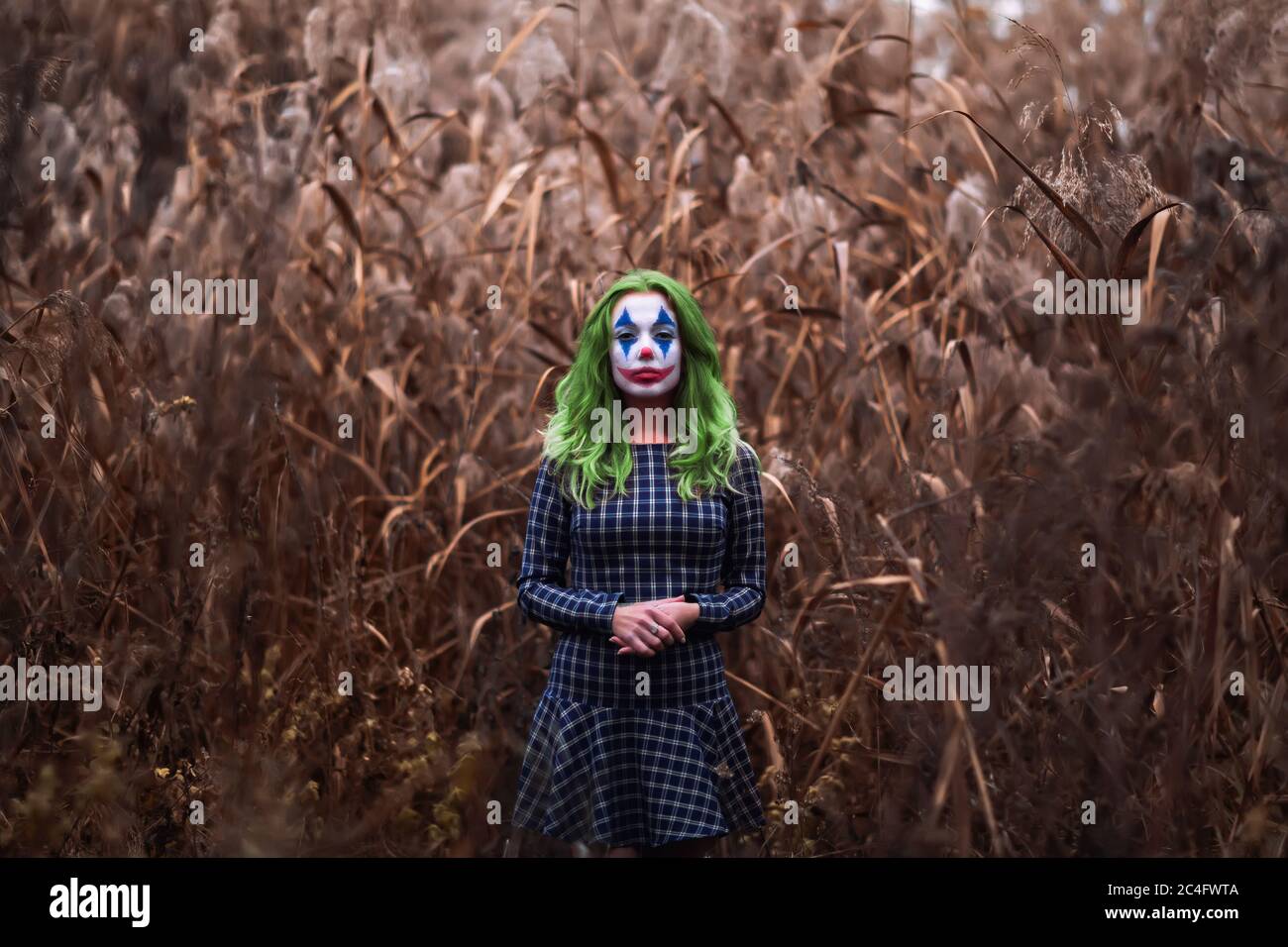 Portrait of a greenhaired girl with joker makeup on a orange leaves reeds background. Stock Photo