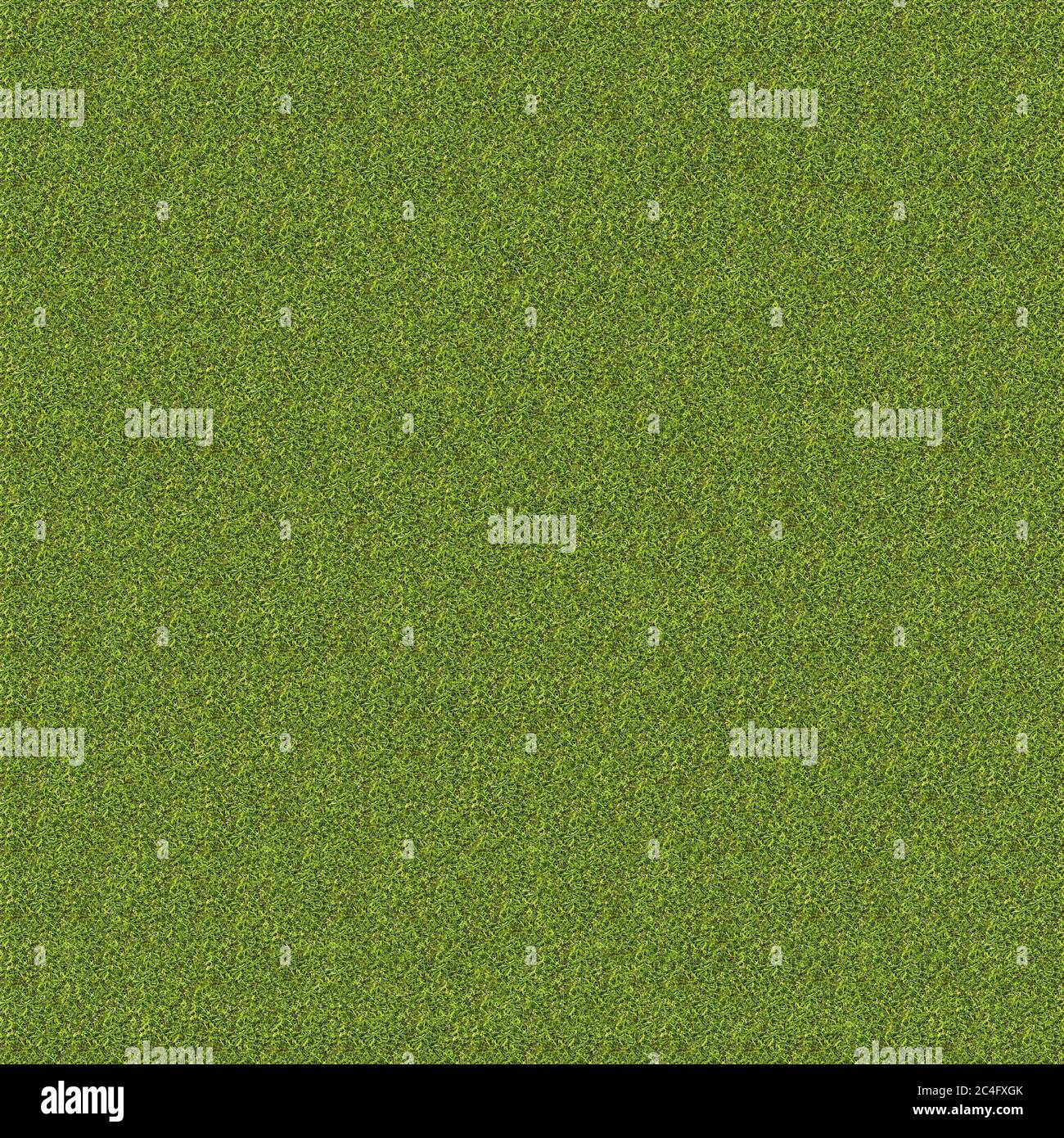 4K High resolution seamless grass texture Stock Photo