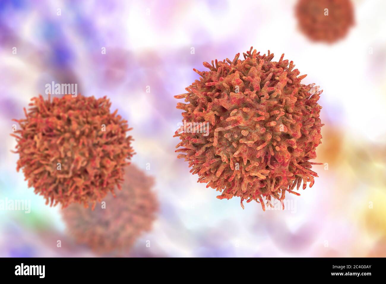 B-lymphocyte cells, computer illustration. Stock Photo