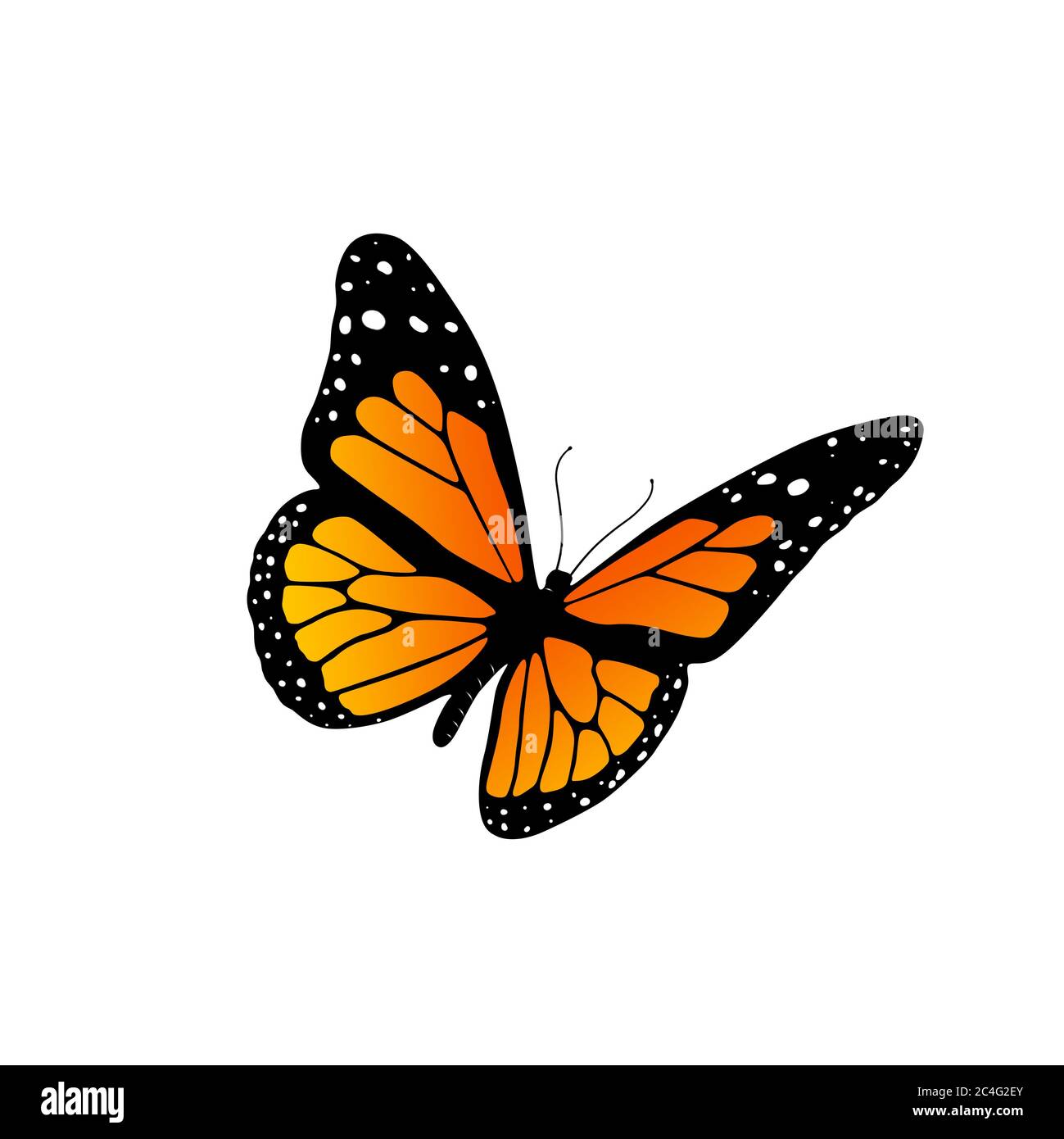 Entomophile hires stock photography and images Alamy