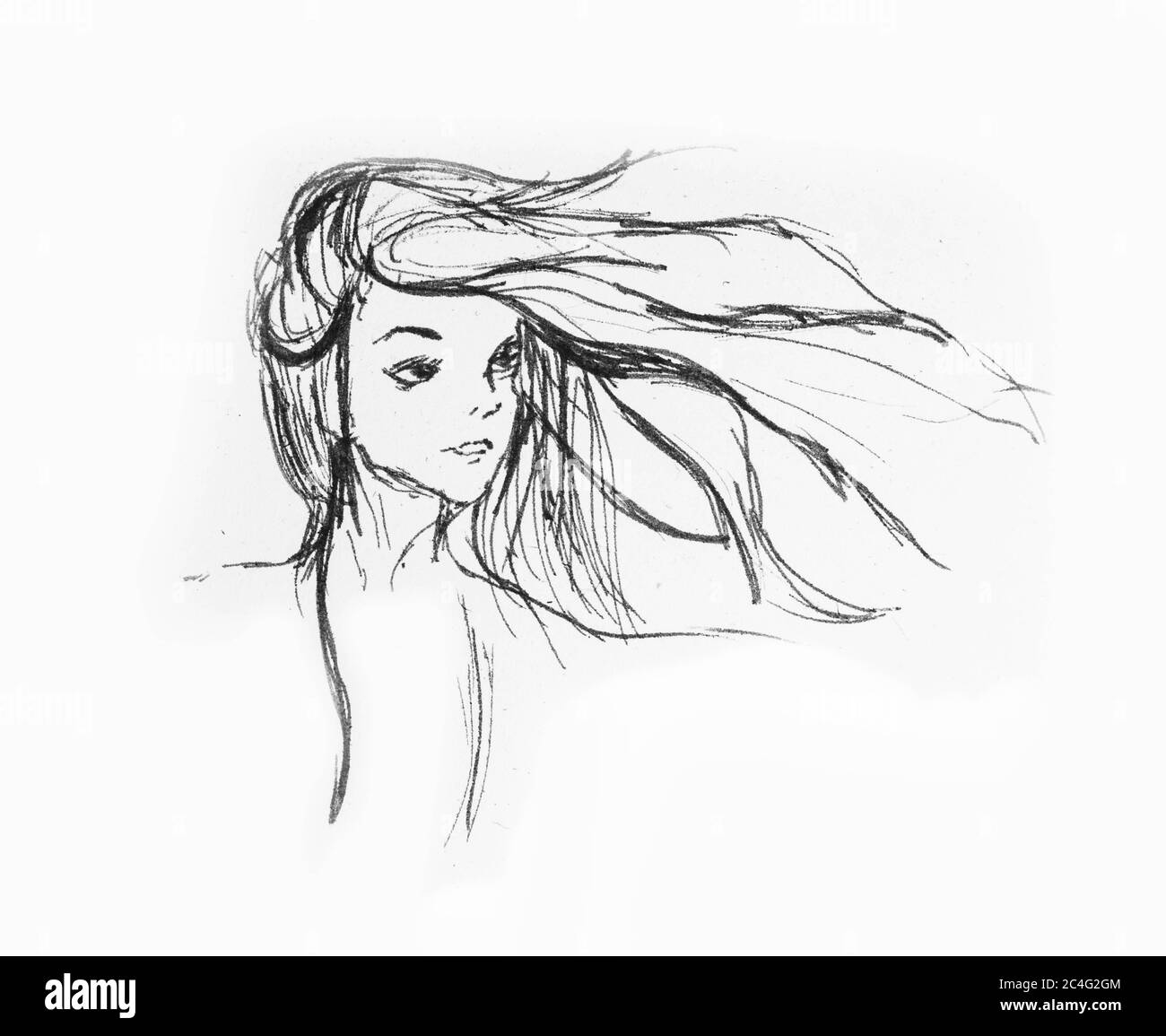 Hand Drawn Beautiful Girl Portrait - Hair Flying With The Wind On A White Paper Stock Photo