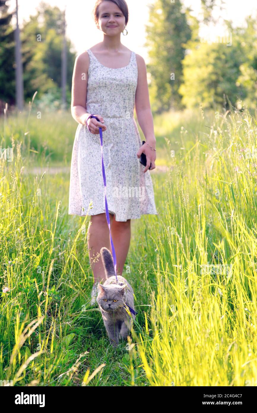 Teenage girl walking with a british short hair male cat on a leash on green grass at countryside in sunny summer day Stock Photo
