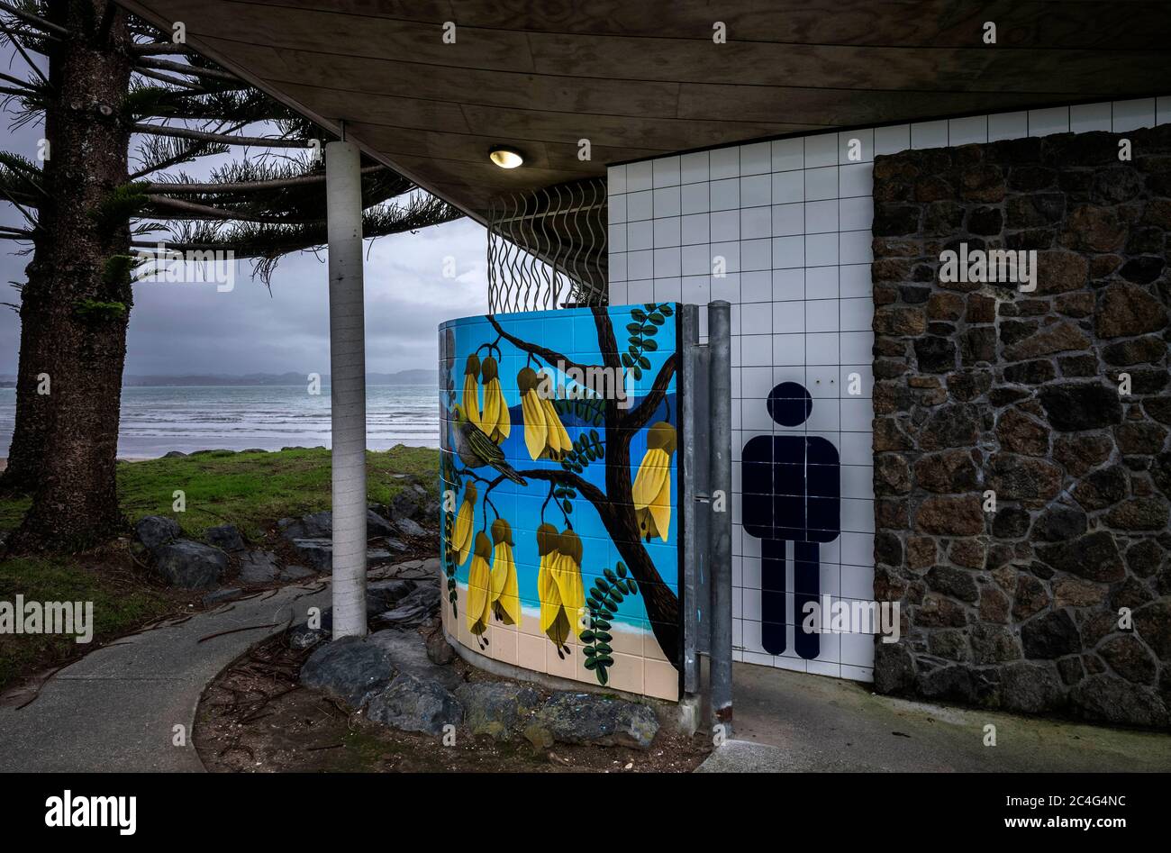 Stanmore Bay Beach Auckland New Zealand. Beach art on the beach toilet
