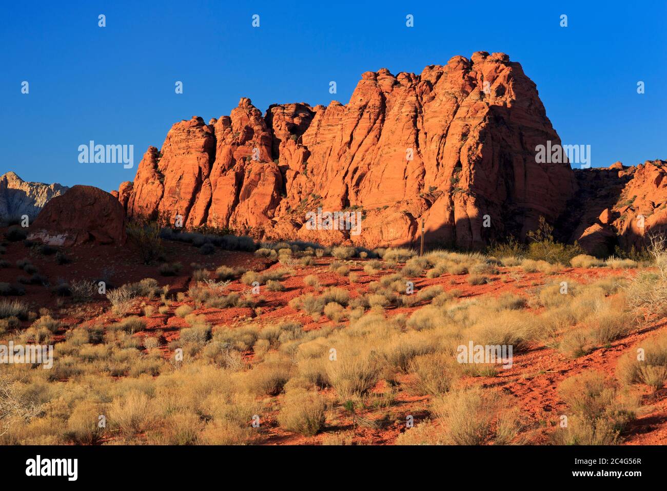 Snow Canyon State Park, St. George, Utah, USA Stock Photo - Alamy