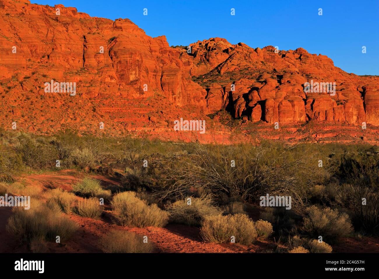 Snow Canyon State Park, St. George, Utah, USA Stock Photo - Alamy