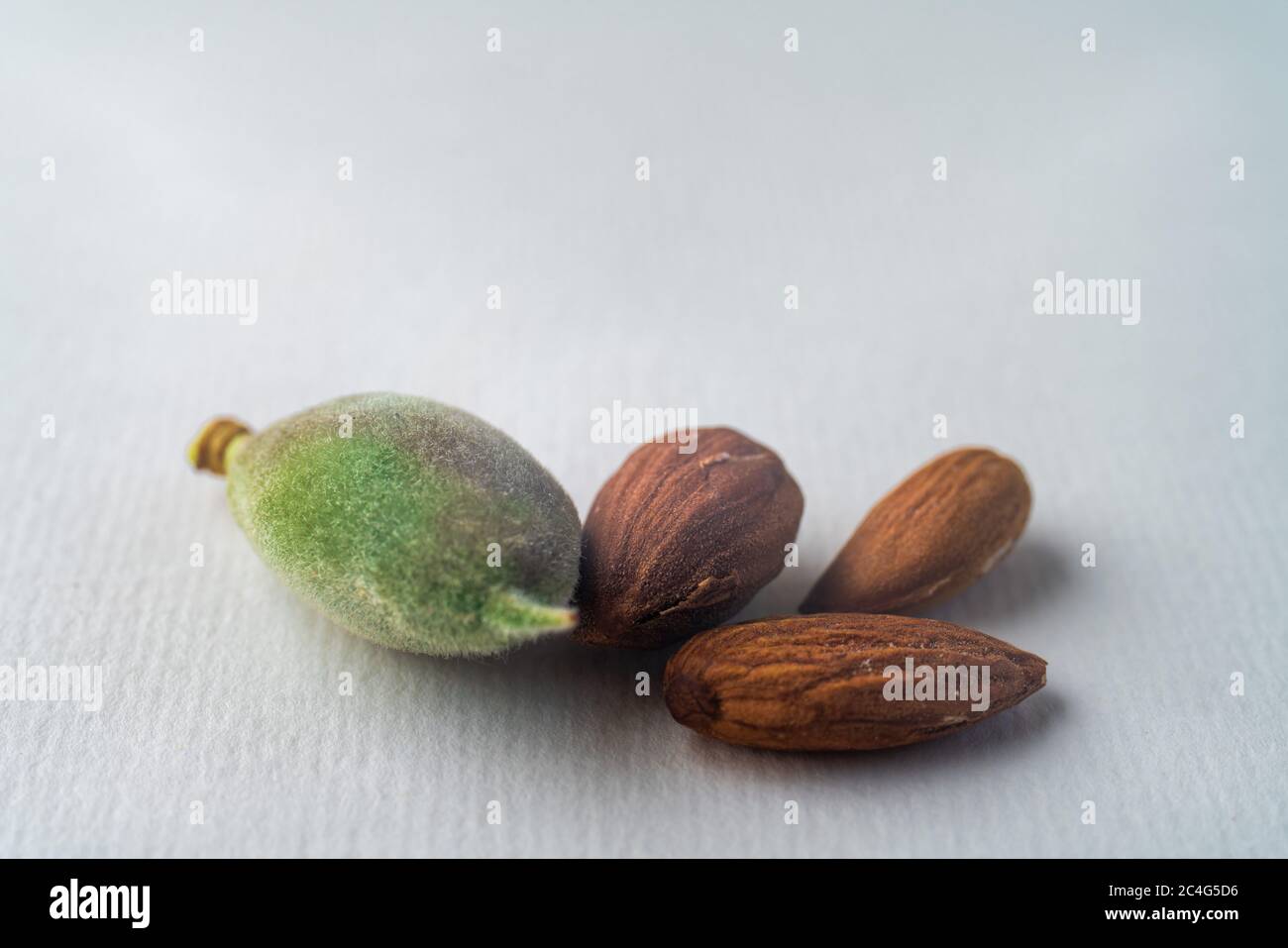 green and old riped almonds nut on spring, isolated on white textured paper. Copy space. Balanced diet vegan healthy lifestyle concept. Creative food Stock Photo