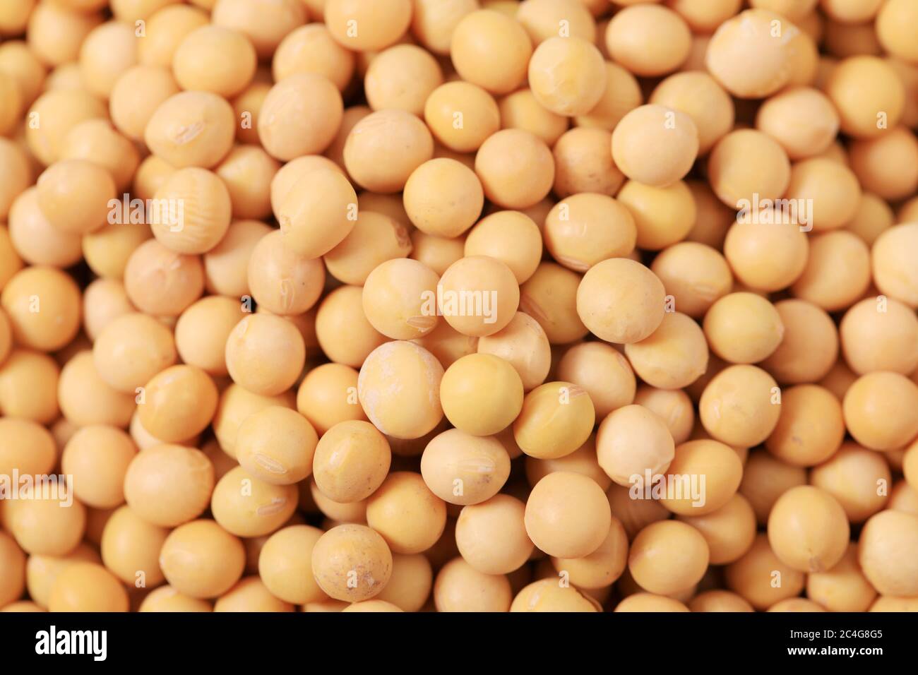 The soybean are on the wooden table Stock Photo