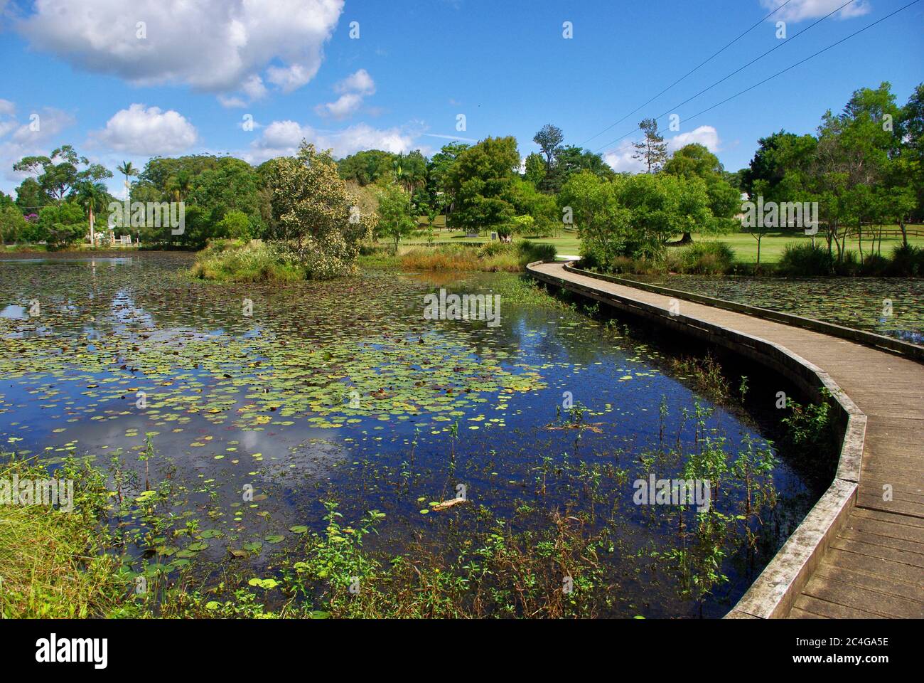 Boardwalk crossing the water of Mapleton Lilyponds in Queensland
