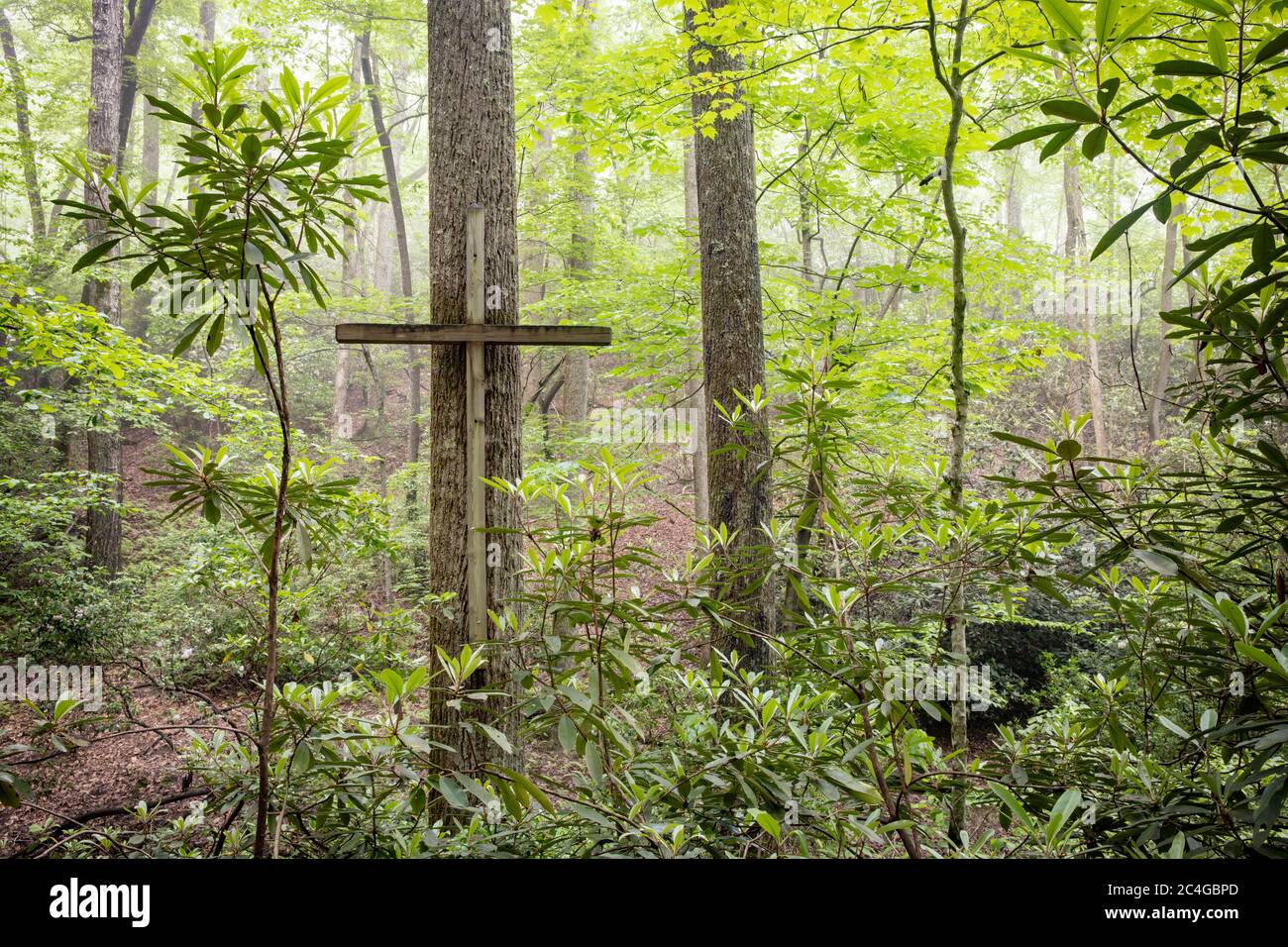 Symbolic wooden cross in the forest - Brevard, North Carolina, USA Stock Photo