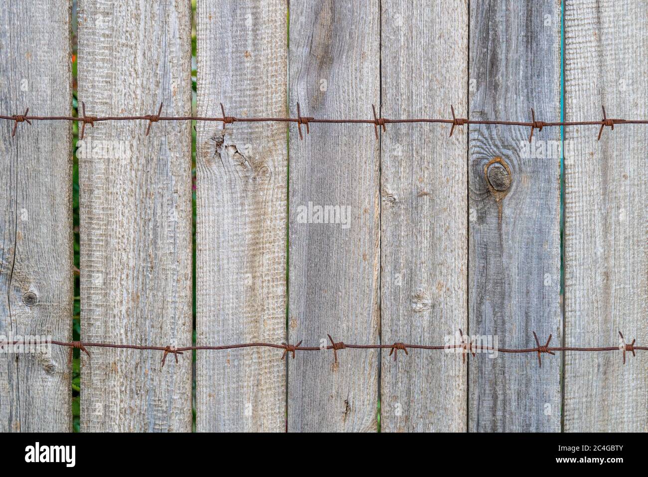 Wooden fence with rusty barbed wire in front. Grunge old wood wall ...