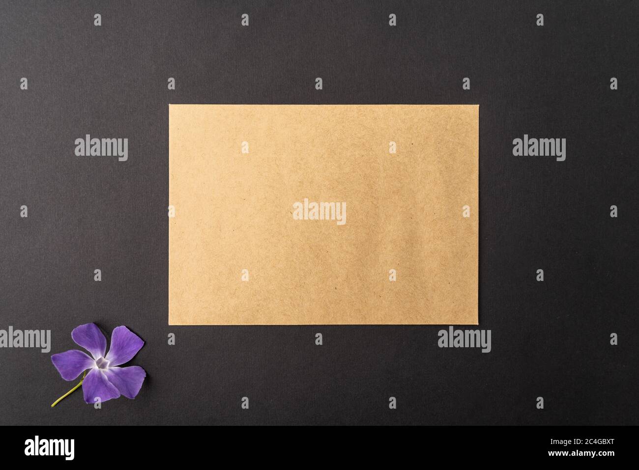 Brown craft envelope with violet flower isolated on black background with , blank copy logo space on black Stock Photo