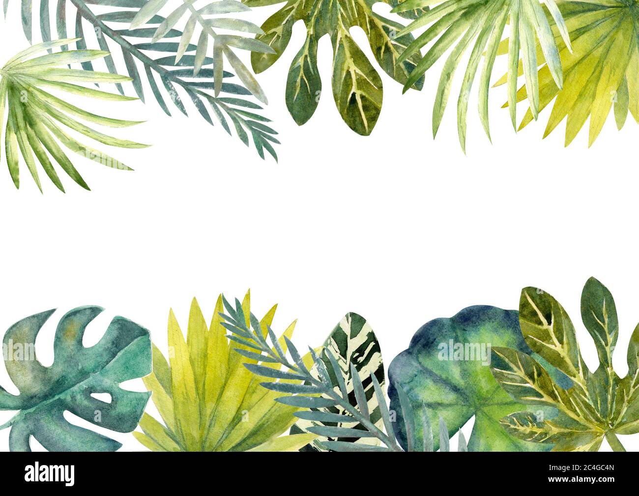 Colorful Tropical Wallpapers