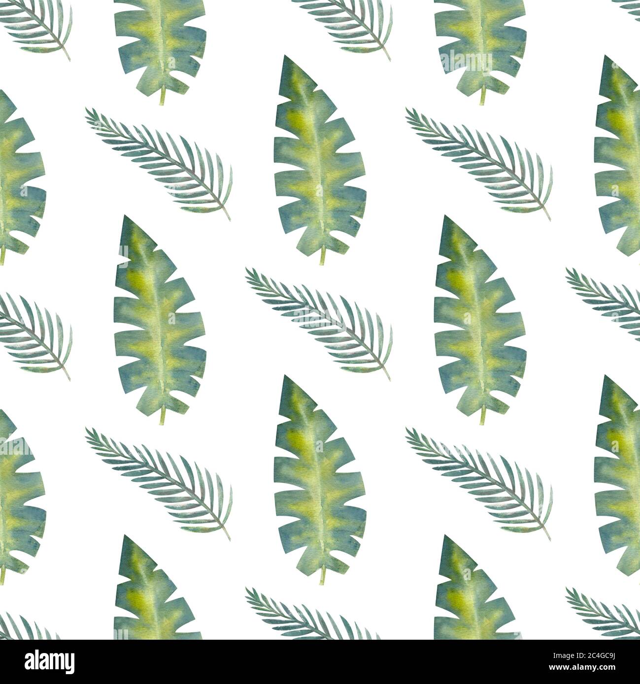Exotic tropical leaves. Seamless pattern on white isolated background ...