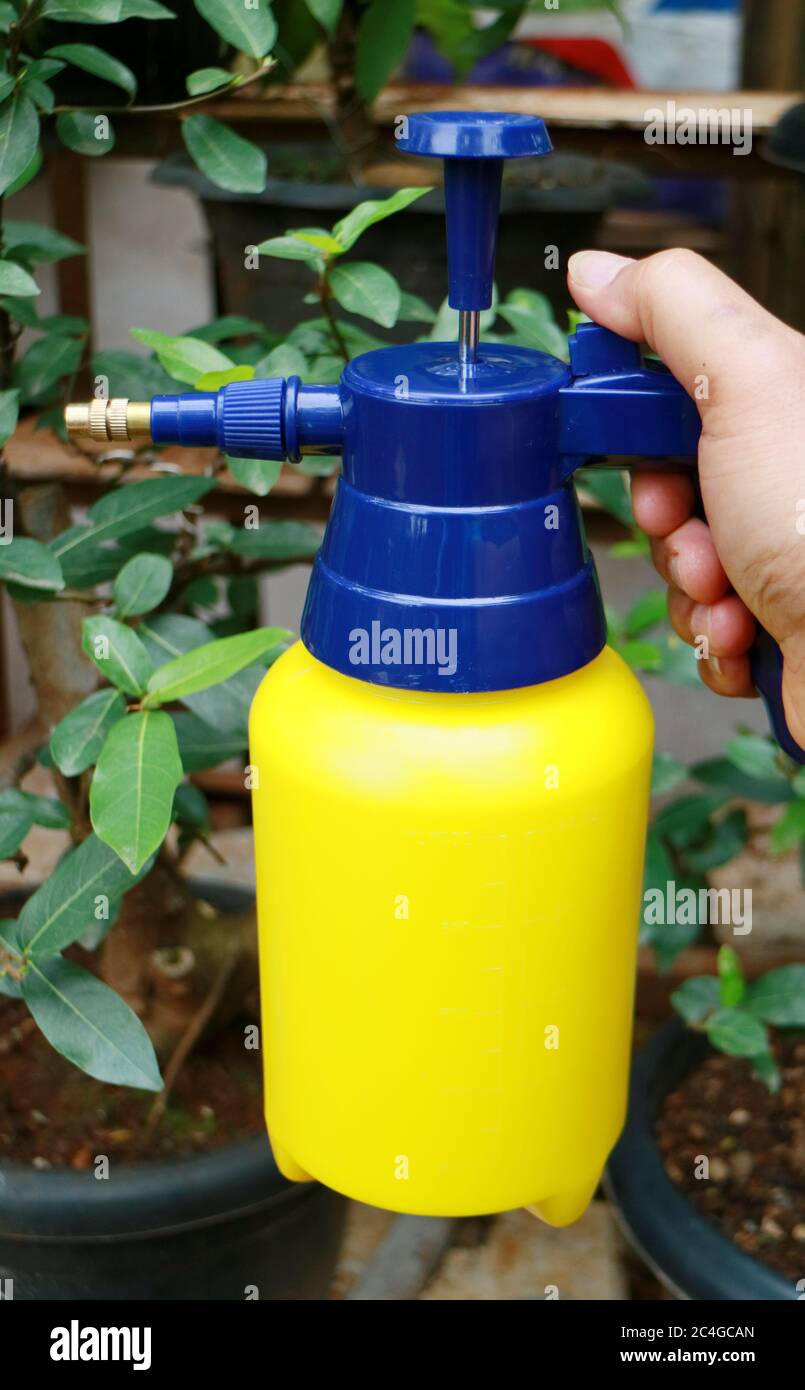 Spraying fertilizer on plants Stock Photo Alamy
