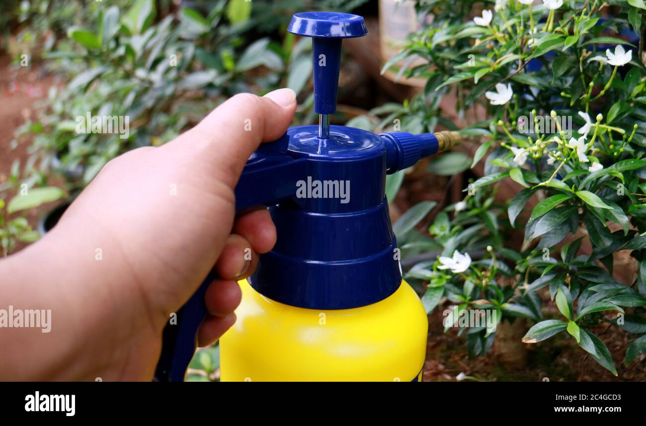 Spraying fertilizer on plants Stock Photo Alamy