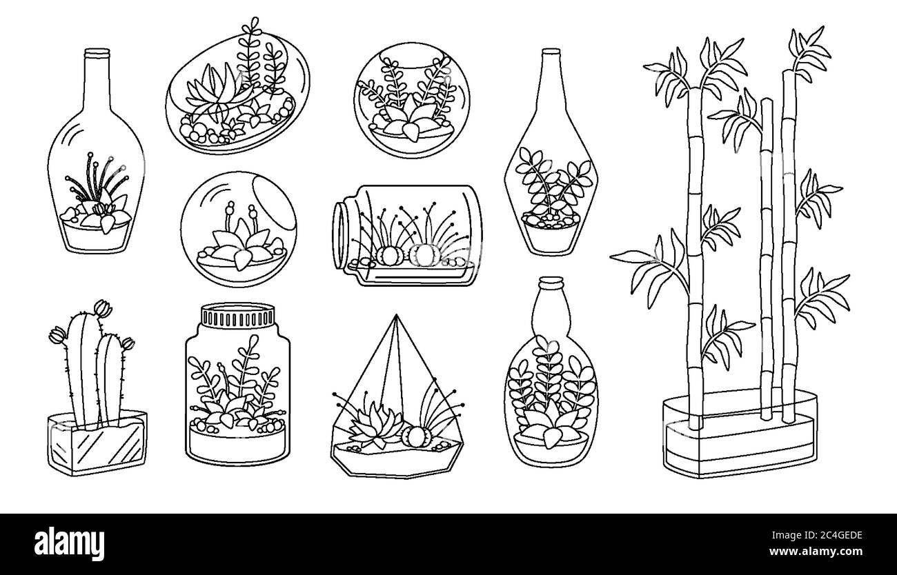 Plant and succulent in glass aquarium flat line set. Black linear cartoon house flower. Decorative house plants, cactus bamboo. Trendy home decor collection cute interior. Isolated vector illustration Stock Vector