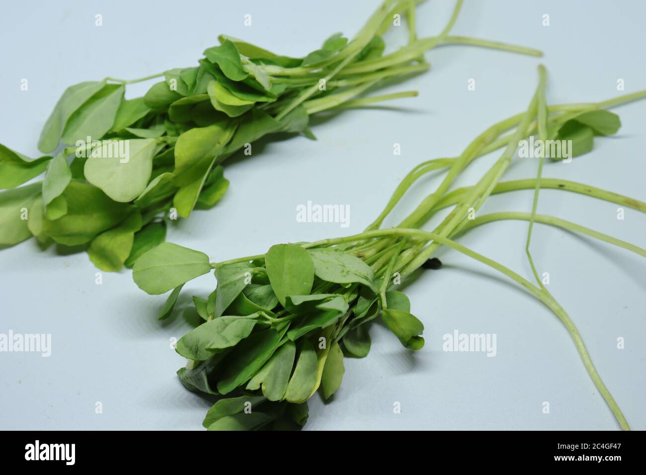 Fresh Green Fenugreek Leaves on White Background Stock Photo Alamy