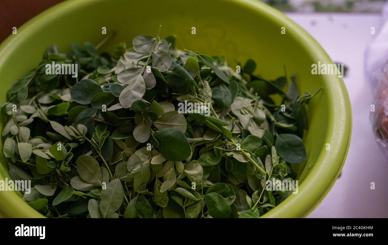 Close up Moringa leaves in a basin Stock Photo