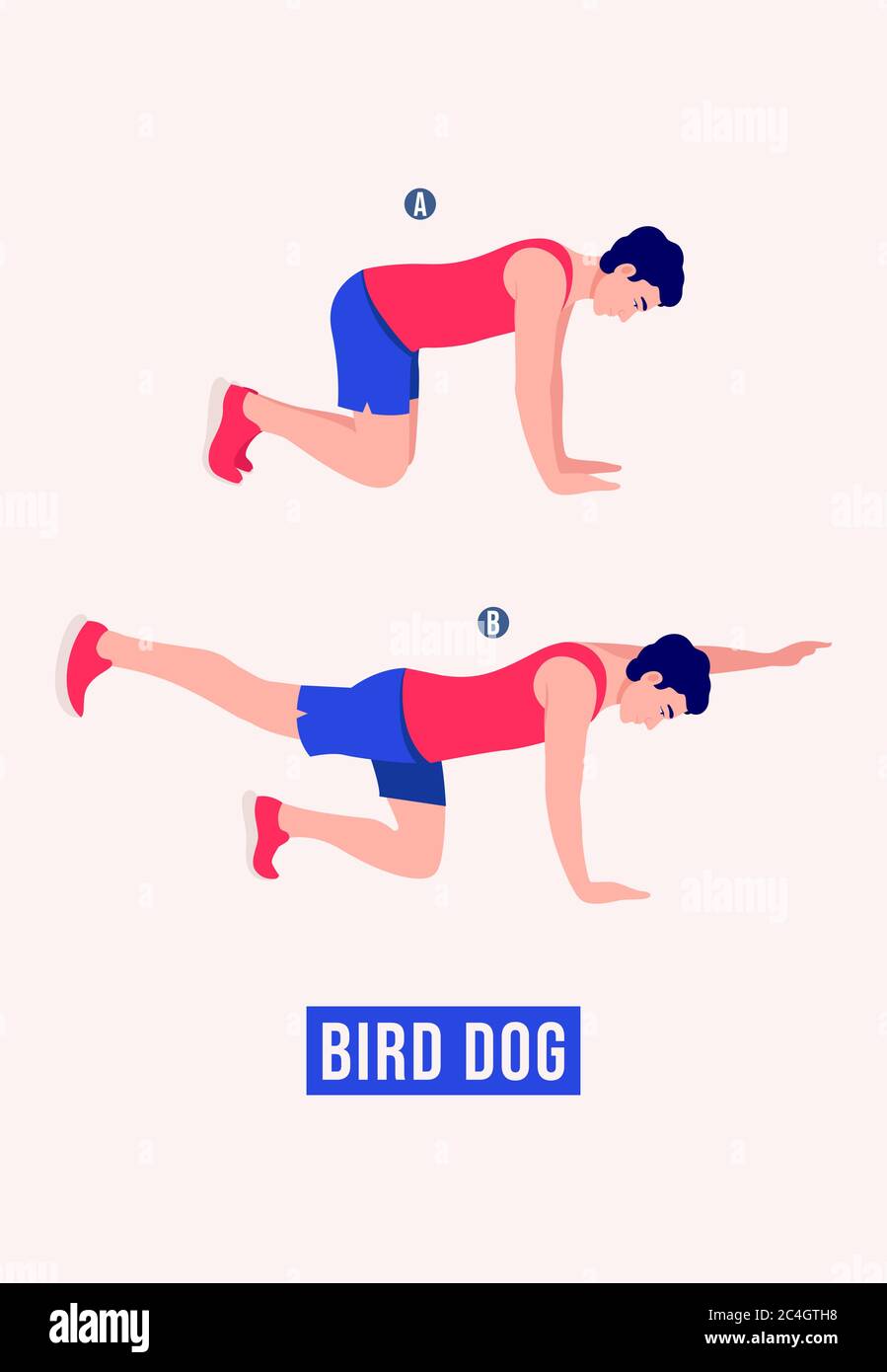 Men doing Bird Dog exercise, Men workout fitness, aerobic and exercises. Vector Illustration. Stock Vector