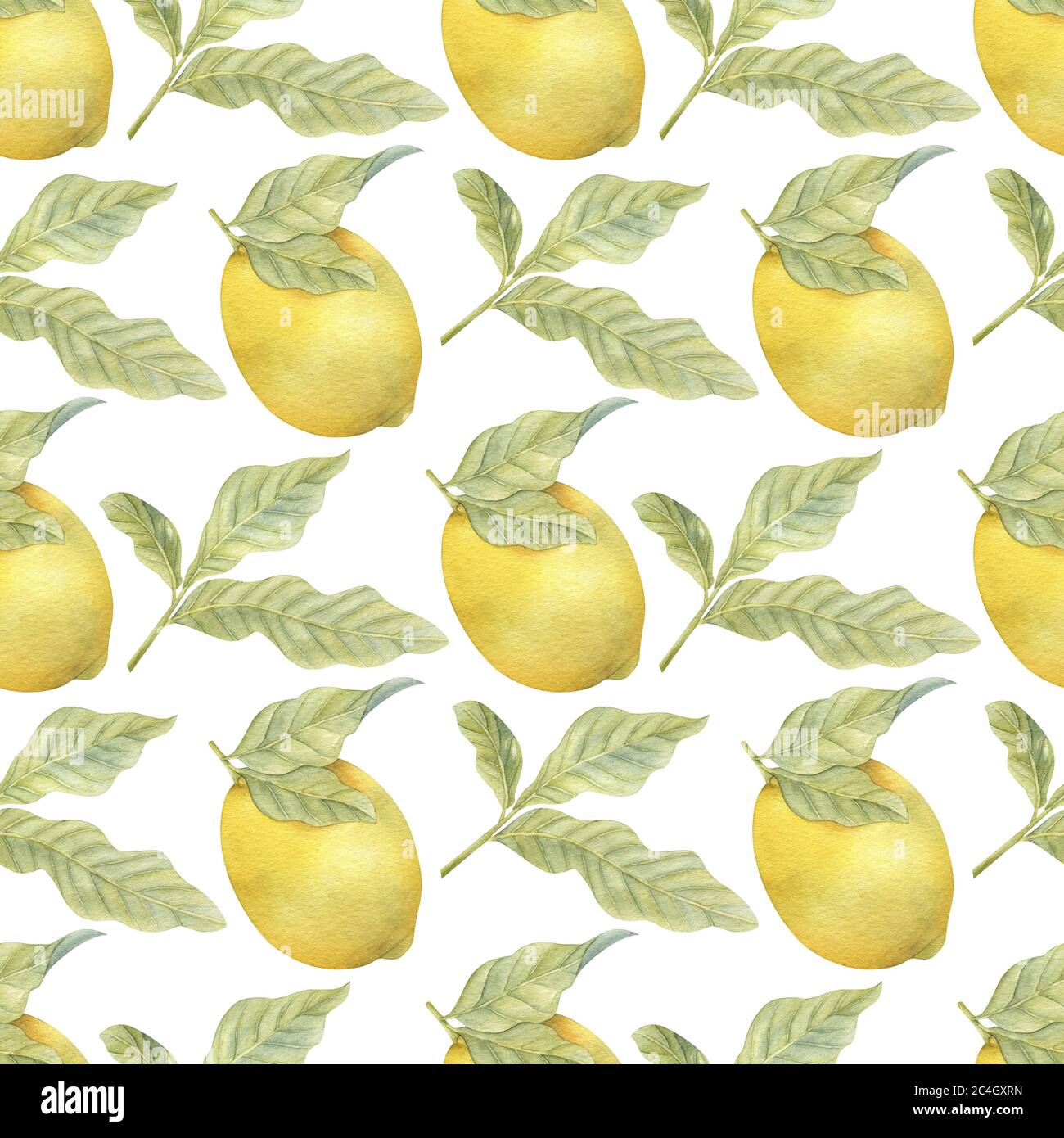 Watercolor seamless pattern with lemons and leaves on the light ...
