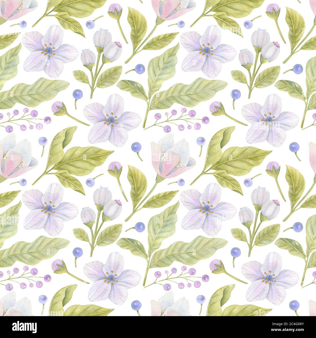 Watercolor seamless pattern with flowers, buds, and leaves on the light ...