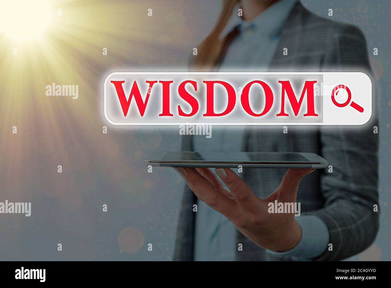 Text sign showing Wisdom. Business photo text body of knowledge and principles that develops within specific period Web search digital information fut Stock Photo