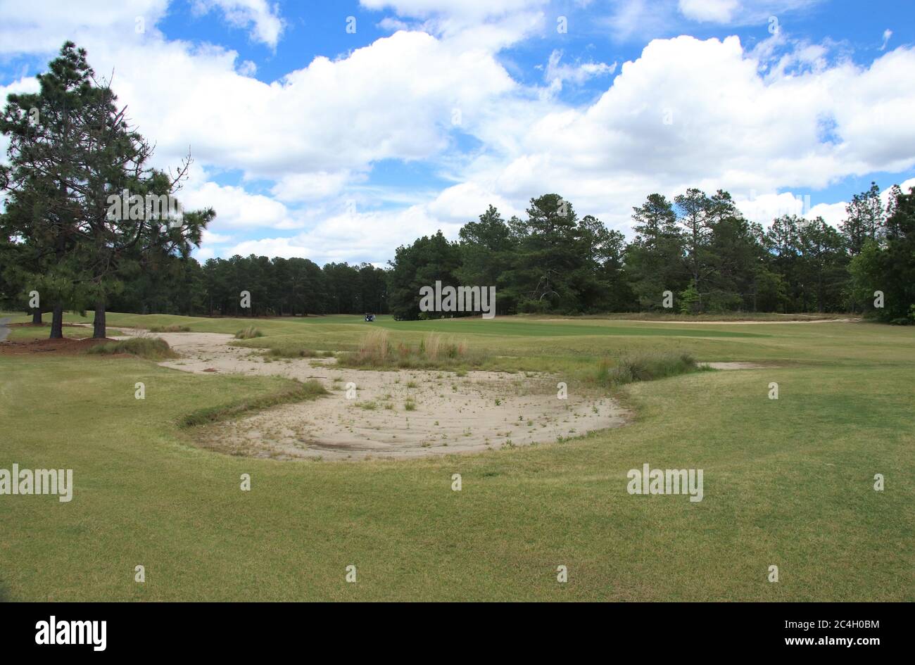 Golf course bunker/ sand trap on a golf course sourrounded by trees Stock Photo