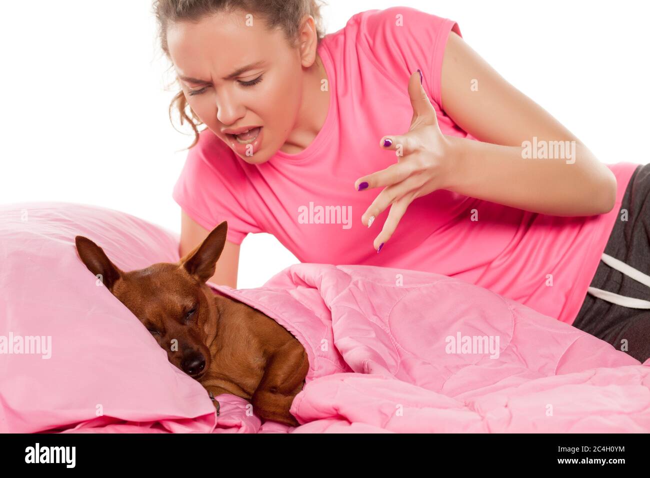 nervous girl shouting at her little dog who is sleeping in her bed Stock Photo