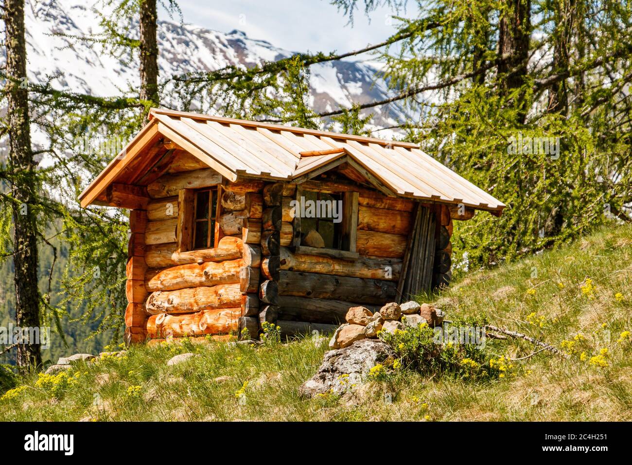 Einsame Blockhütte im Wald Stock Photo