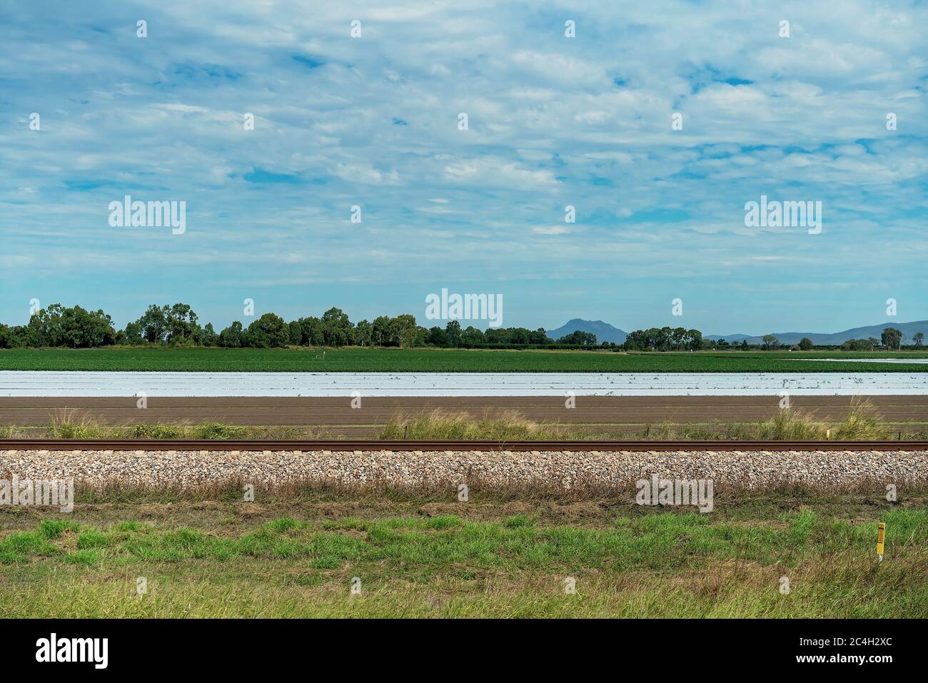 Plastic sheeting weeds hires stock photography and images Alamy