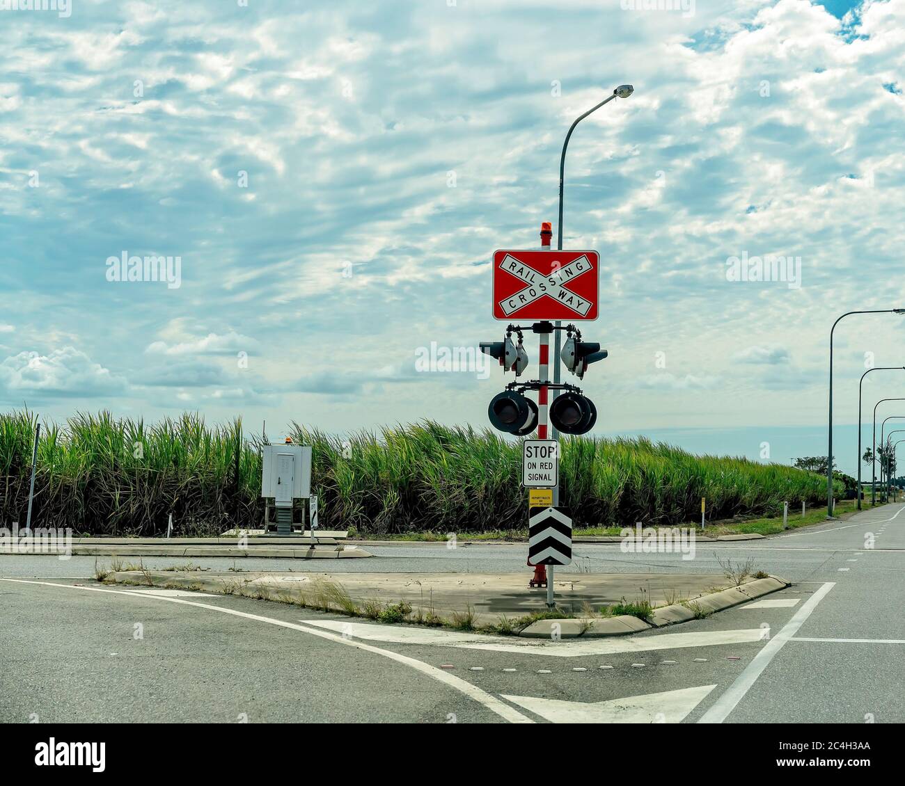 Railway Crossing Traffic Lights On A Country Highway With A Cane Field In The Background Stock Photo Alamy