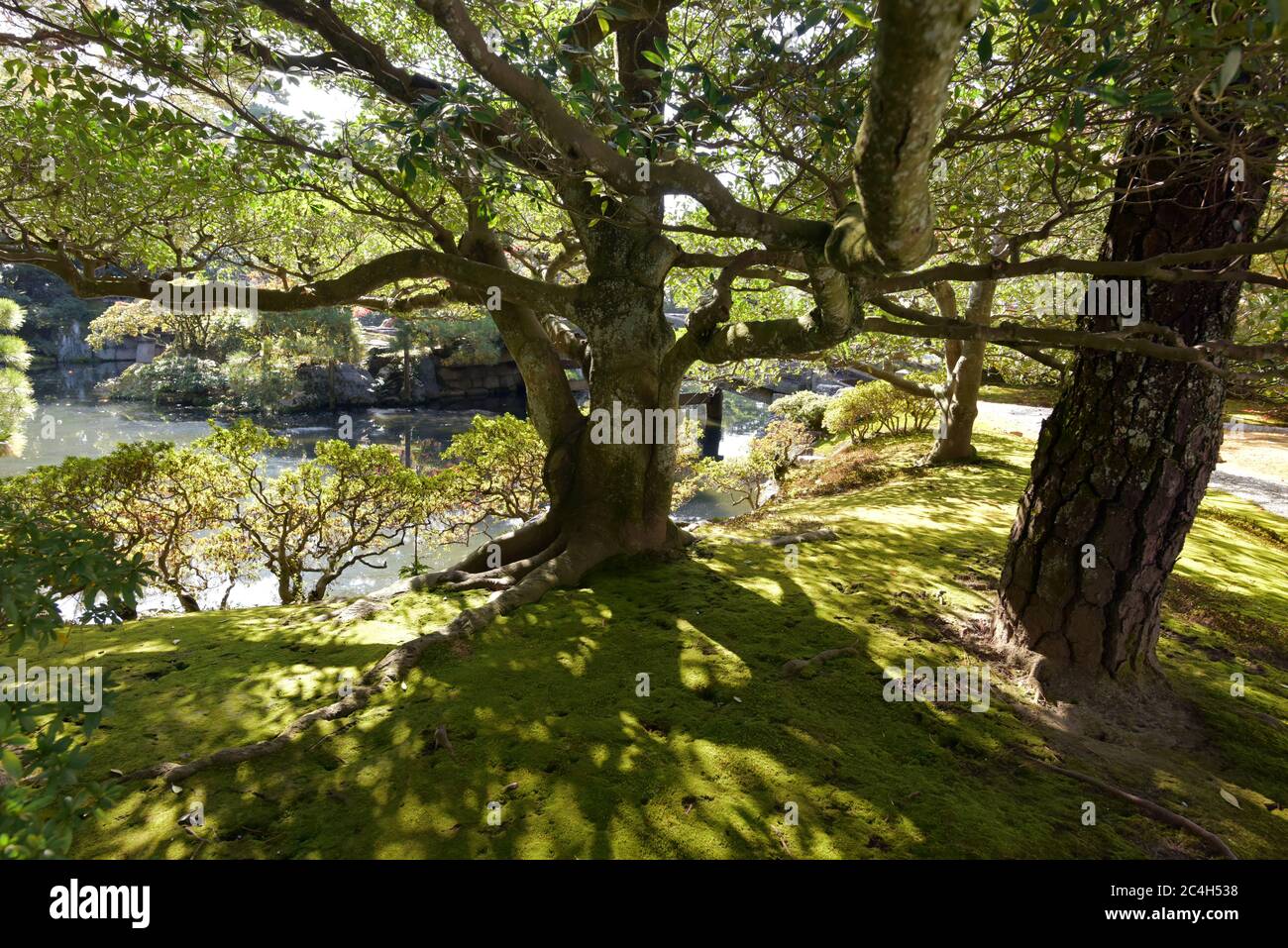 Kyoto Botanical Garden Japan Stock Photo