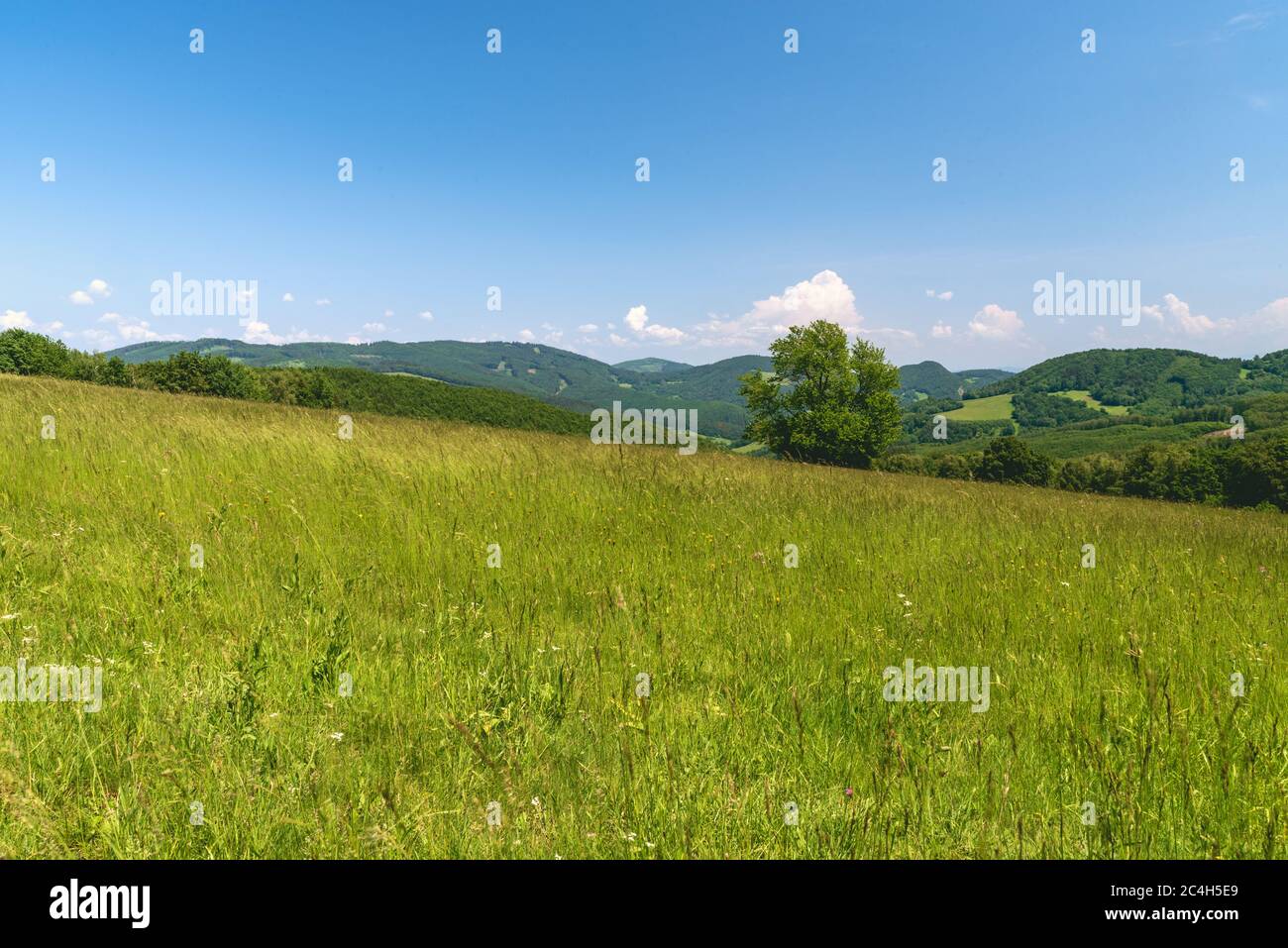 Beautiful Biele Karpaty mountains with hills coveted by mix of meadows and forest in Slovakia near Vrsatske Podhradie village during springtime day wi Stock Photo