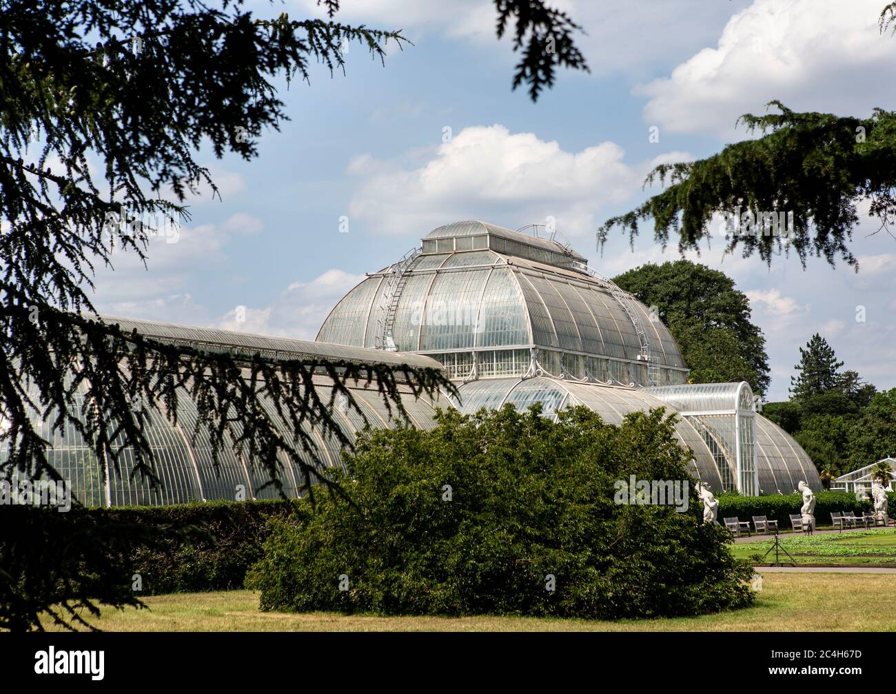 Palm House Conservatory framed with tree branches Stock Photo