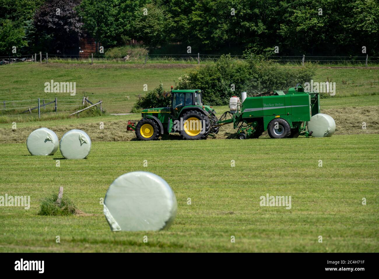 Hay harvest, farmer with agricultural machine, picks up mown hay, which is immediately pressed into bales and wrapped in film, baler/wrapper combinati Stock Photo