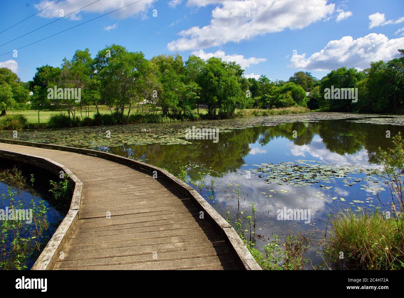 Boardwalk crossing the water of Mapleton Lilyponds in Queensland