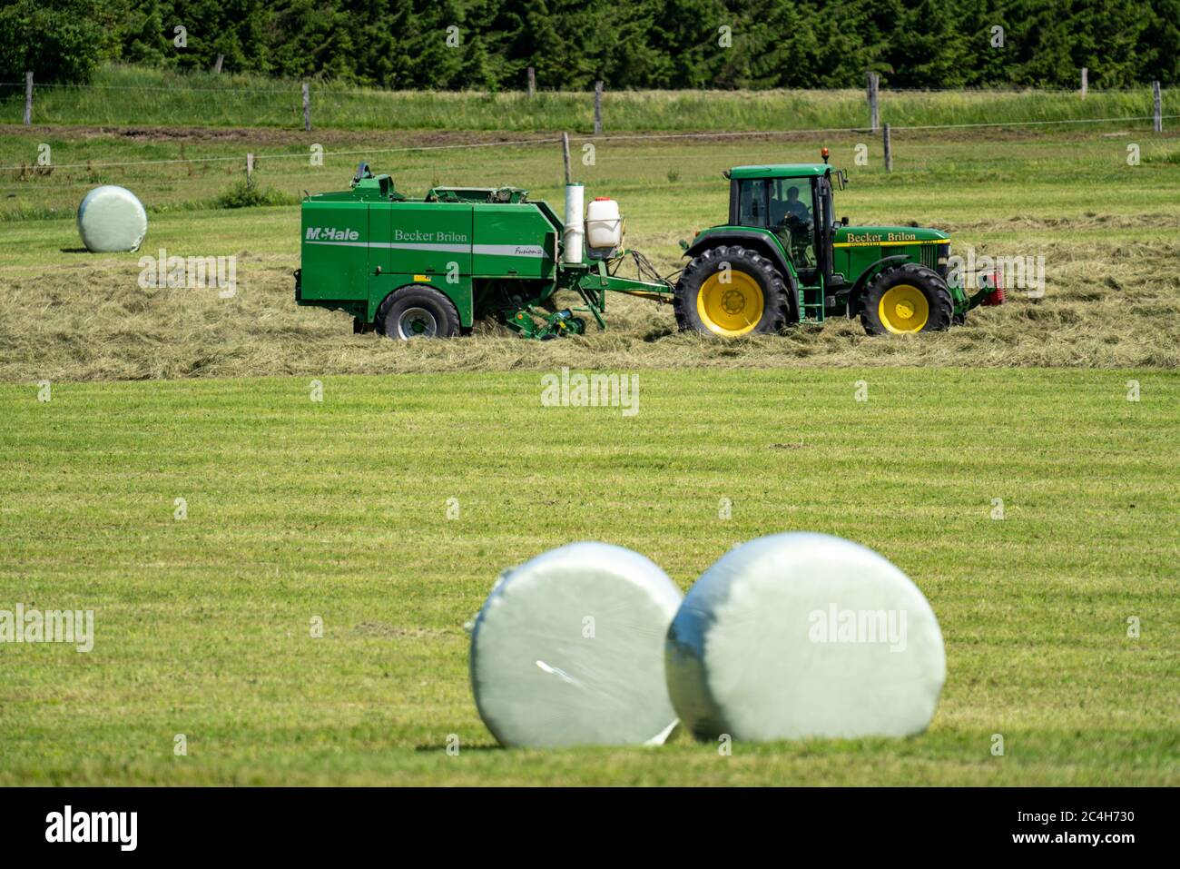 Hay harvest, farmer with agricultural machine, picks up mown hay, which is immediately pressed into bales and wrapped in film, baler/wrapper combinati Stock Photo