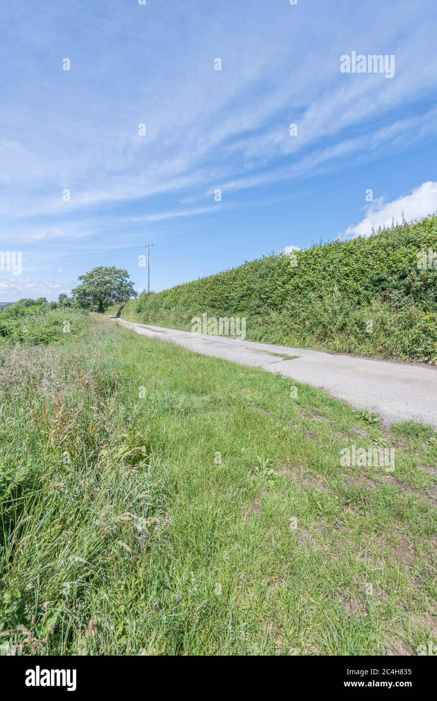 Typical cornish country road hi-res stock photography and images - Alamy