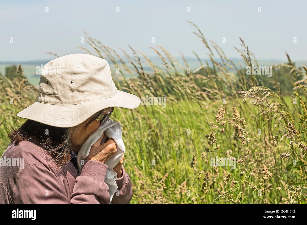 Eye level landscape of woman wearing hat and sunglasses, holding handkerchief up to nose, beside flowering grasses. Concept, hay fever, sneezing. Stock Photo