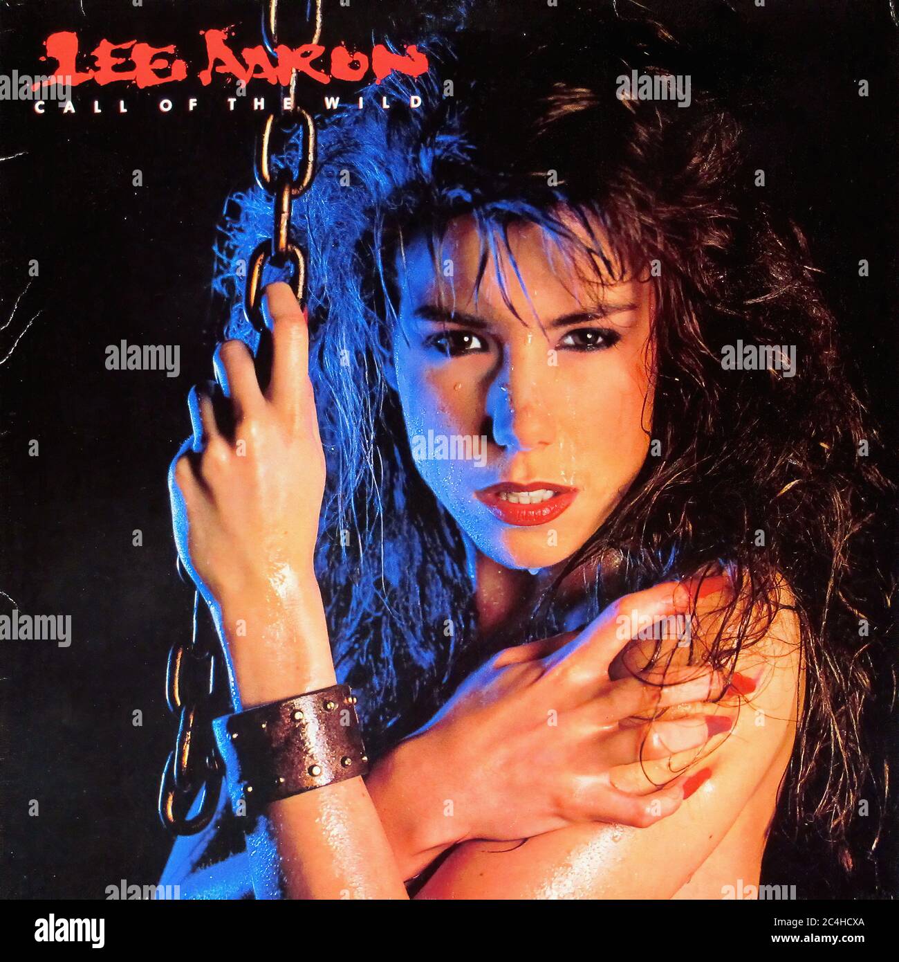 Lee Aaron Call of the Wild 12'' Lp Vinyl - Vintage Cover Stock Photo ...