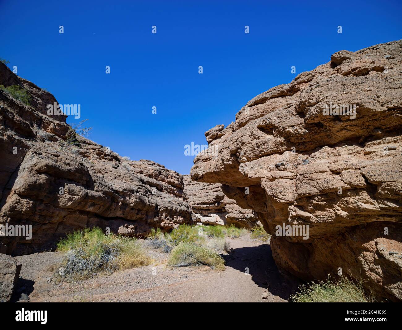 Beautiful landscape along the famous White Owl Canyon trail at Lake Mead, Nevada Stock Photo