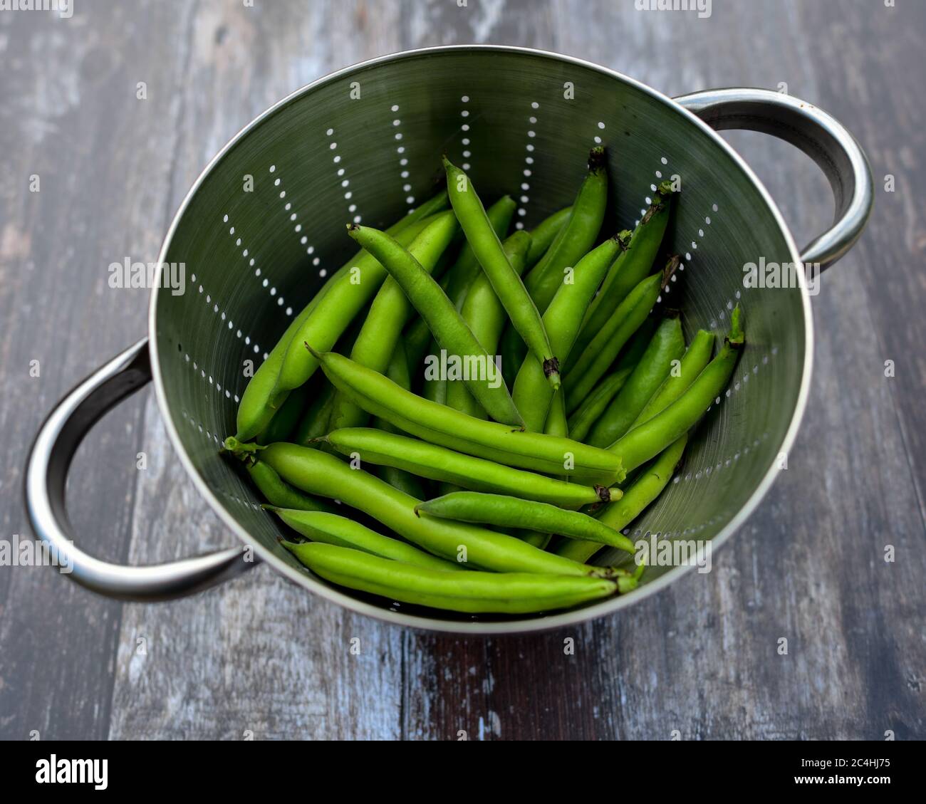 Broad beans (broad bean masterpiece green longpod) in colander Stock Photo