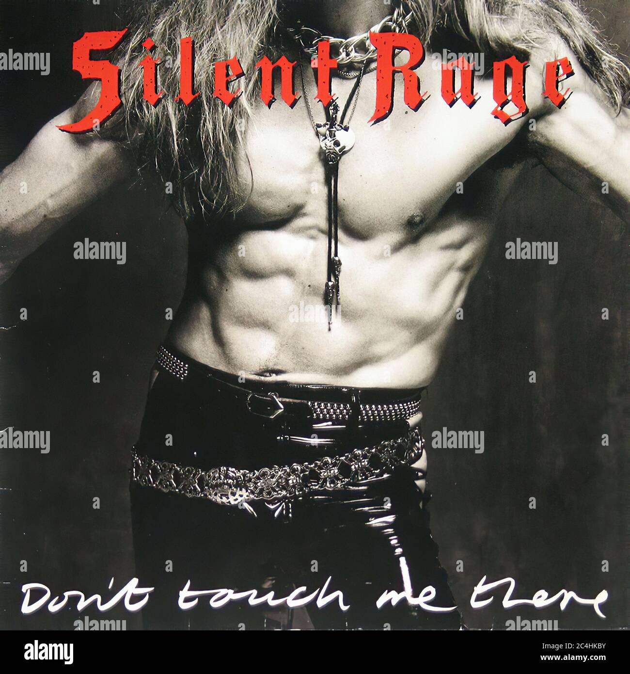 サイレントレイジ ⁄ ドント・タッチ・ミー 国内盤 サイレントレイジ
