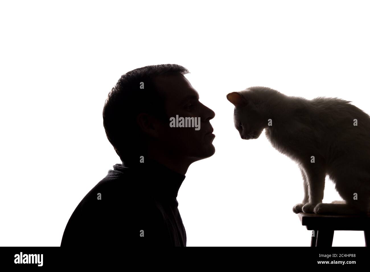 Young man play with a kitten - silhouette Stock Photo