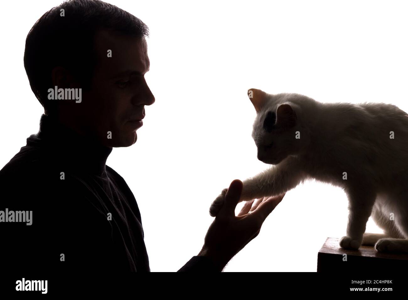 Young man play with a kitten - silhouette Stock Photo