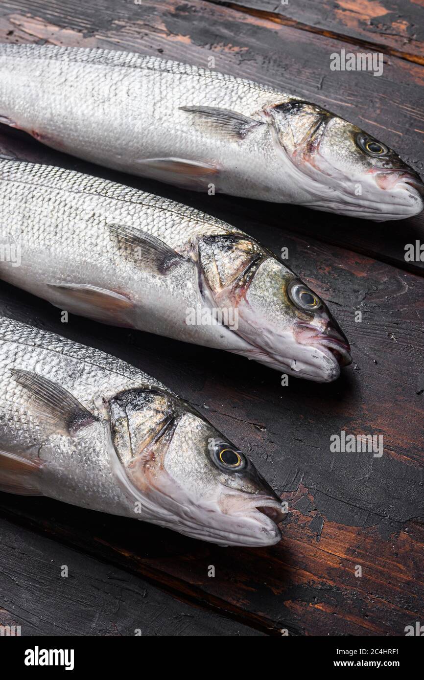 Mediterranean Sea Bass High Resolution Stock Photography and Images Alamy