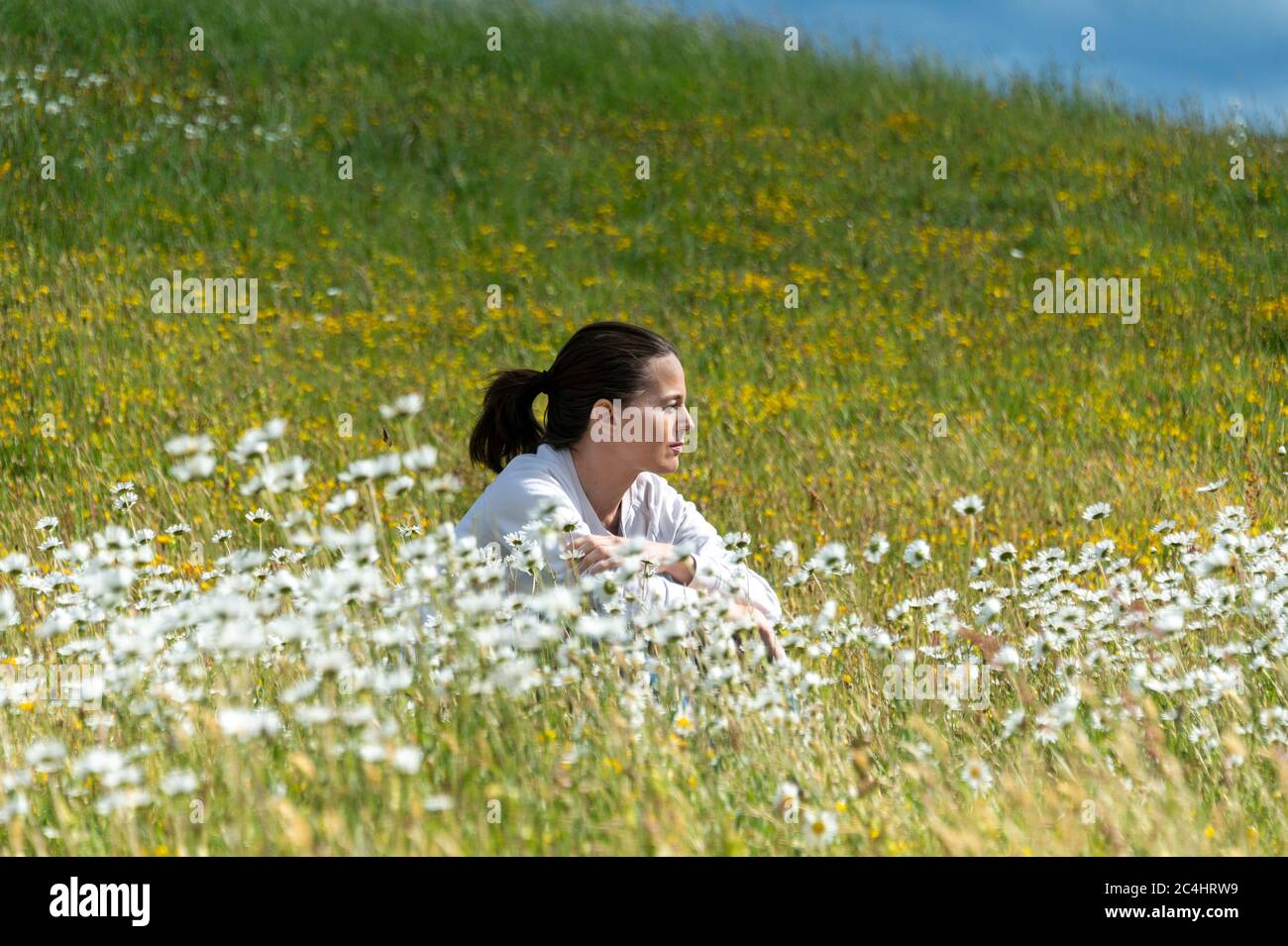 woman sitting in a field of daisies. Stock Photo