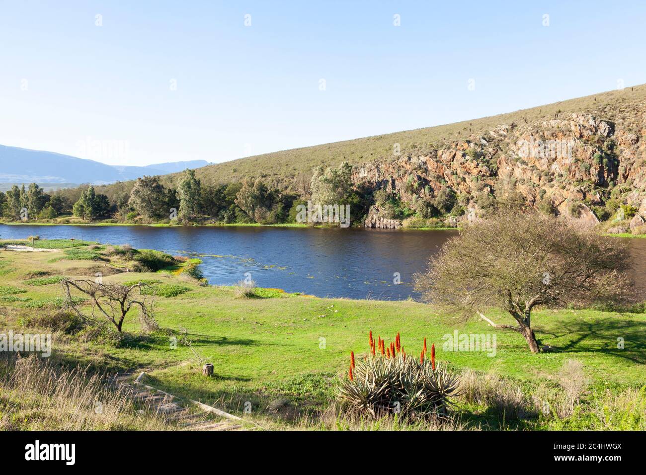 Evening light at Die Strrom picnic site on the Breede River, Bontebok
