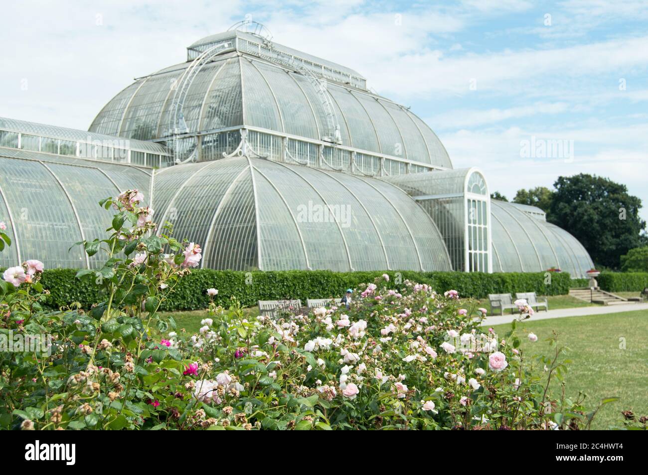 Palm House from the rose gardens, Kew Gardens, England Stock Photo Alamy